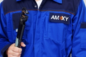 Logo Amexy